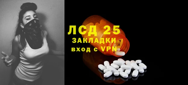 стаф Бронницы