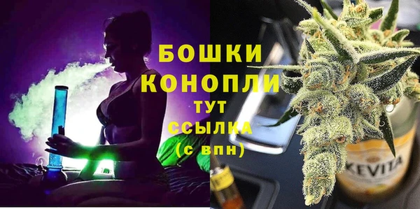 стаф Бронницы