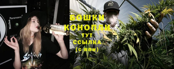 стаф Бронницы