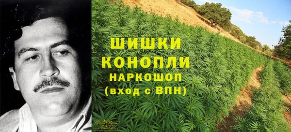 стафф Бородино