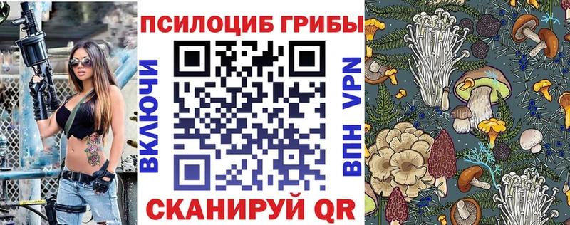 где найти   Дальнереченск  ссылка на мегу онион  Галлюциногенные грибы Cubensis 